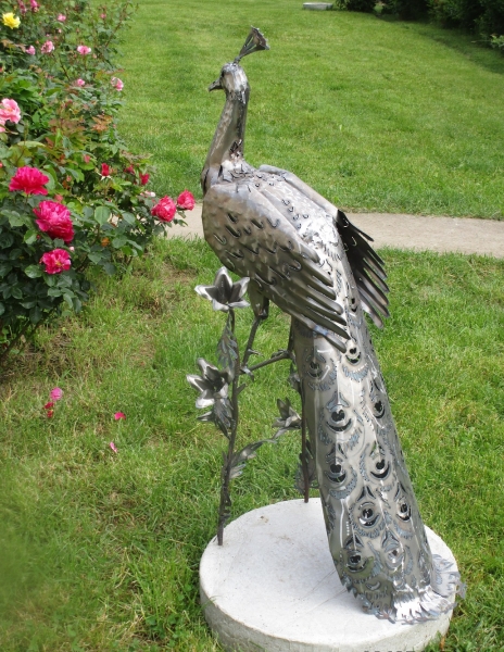 Peacock garden sculpture